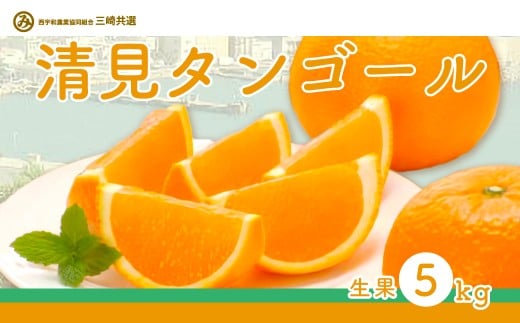 【先行予約】清見タンゴール（生果5kg）※離島への配送不可（2026年3月上旬～4月上旬頃に順次発送予定） 【 ふるさと納税 人気 おすすめ ランキング 柑橘 みかん ミカン 清見 清見タンゴール mikan 蜜柑 果物 生果 フルーツ 愛媛県産 愛媛県 伊方町 送料無料 】 IKTBD015 2138235 - 愛媛県伊方町