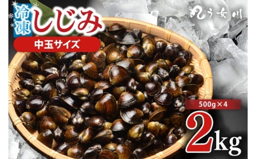 しじみ 冷凍 中玉 2kg(500g×4)砂抜き済み 涸沼川 う女川【シジミ オルニチン ミネラル ビタミンB12 出汁 肝臓 味噌汁 スープ 茨城県 水戸市】(IX-116) 1339885 - 茨城県水戸市