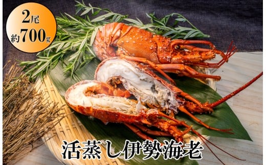 L-13伊勢海老の活蒸し　2尾セット