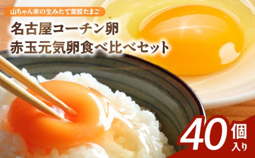 【山ちゃん家の生みたて葉酸たまご】名古屋コーチン卵・赤玉元気卵 食べ比べセット（各20個 合計40個入り）