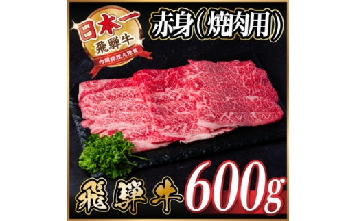 レビューキャンペーン実施中!飛騨牛　厳選赤身(焼肉・BBQ用)600g　A4～A5等級　小分け【1543753】 1478328 - 岐阜県羽島市