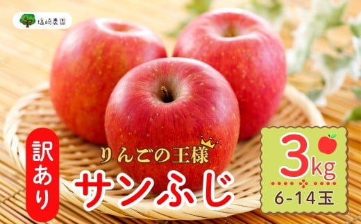 【先行予約】 【訳あり】サンふじ 約3kg (6〜14玉）（2025年12月中旬から発送）りんご サンふじ 訳あり 規格外 直送 好評 (7-A39-1)