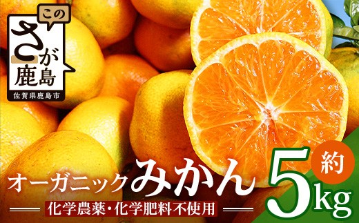【先行予約】 オーガニック みかん 約5kg 有機栽培 国産 B-70 462154 - 佐賀県鹿島市
