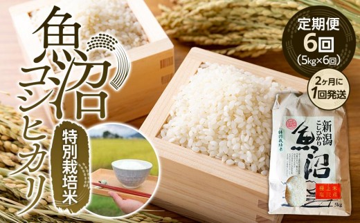 【令和7年産新米予約】定期便６回！！魚沼コシヒカリ特別栽培米５kg×６回（２カ月に１回発送）【2025年10月上旬より順次発送予定】