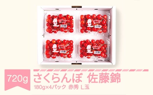 先行予約 さくらんぼ 佐藤錦 赤秀 L玉180g×4パック 2026年産 令和8年産 山形県産 mm-snplx800