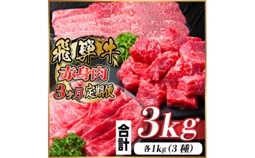レビューキャンペーン実施中!＜毎月定期便＞飛騨牛 赤身肉定期便 計3kg全3回【4059529】