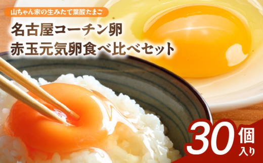 【山ちゃん家の生みたて葉酸たまご】名古屋コーチン卵・赤玉元気卵 食べ比べセット（各15個 合計30個入り）