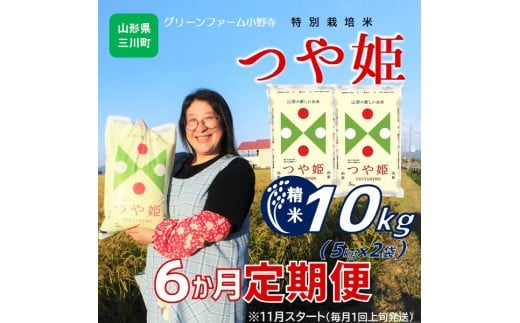 11月スタート【定期便6回】グリーンファーム小野寺のつや姫10kg×6回　※配送期間：令和7年11月～令和8年4月