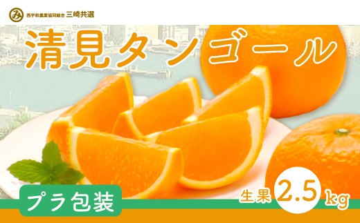 清見タンゴール（Pプラ包装・生果2.5kg）※離島への配送不可 【 ふるさと納税 人気 おすすめ ランキング 柑橘 みかん ミカン 清見 清見タンゴール mikan 蜜柑 果物 生果 フルーツ 愛媛県産 愛媛県 伊方町 送料無料 】 IKTBD006 2138187 - 愛媛県伊方町