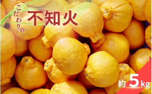 こだわりの 不知火 約5kg 有機質肥料100% 農家直送 光センサー選別 【2026年2月中旬より順次発送予定（お届け日指定不可）】 不知火 みかん ミカン 柑橘 フルーツ 果物 くだもの 人気 旬 産地直送【CE-nuk111B】 2230021 - 和歌山県かつらぎ町