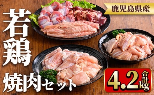 y548 鹿児島県産若鶏焼肉セット(6種・合計4.2kg) 国産 鶏肉 鳥肉 肉 若鶏 お肉 もも肉 モモ肉 砂肝 肝 手羽中 肩肉 チキン チキンリブ セット 詰め合わせ 焼き肉 焼肉 やきにく 小分け 冷凍 真空パック 食べ比べ 【TRINITY】 2243301 - 鹿児島県湧水町