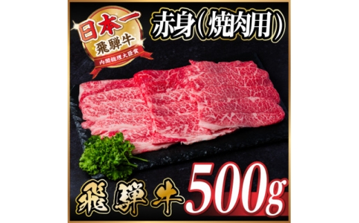 レビューキャンペーン実施中!飛騨牛　厳選赤身(焼肉・BBQ用)500g　A4～A5等級＜冷凍便＞【1543752】 1478327 - 岐阜県羽島市