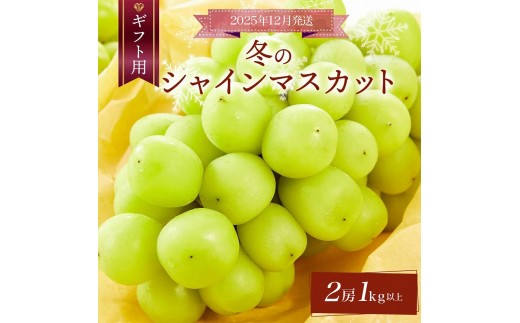 ＜2025年12月発送＞【ギフト】岡山県産 冬のシャインマスカット 2房 １kg以上 [025-a033]