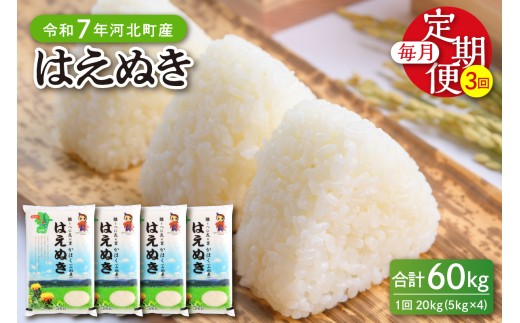 【令和7年産米】※2025年12月上旬開始※ はえぬき60kg（20kg×3ヶ月）定期便 山形県産 【JAさがえ西村山】ka008-008d-r7-12021