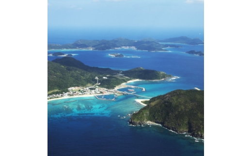 座間味村 ガイドツアー山歩人(大人1名様・2時間コース)【1626899】 2253331 - 沖縄県座間味村