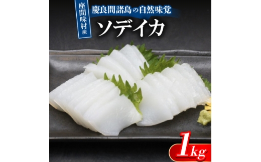 慶良間諸島の自然味覚 座間味村産のソデイカ 1kg(2~3柵)【1625441】 2253328 - 沖縄県座間味村