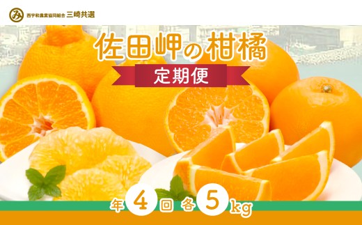 【定期便】2025年度 佐田岬の柑橘定期便（年4回）柑橘 定期 各5kg 愛媛県産（12月、2月、4月、6月発送）※離島への配送不可 【 ふるさと納税 人気 おすすめ ランキング 柑橘 みかん ミカン あいか デコポン サンフルーツ はるみ きよみ など mikan 蜜柑 果物 生果 フルーツ 定期便 愛媛県 伊方町 送料無料 】 IKTBD018 2138251 - 愛媛県伊方町