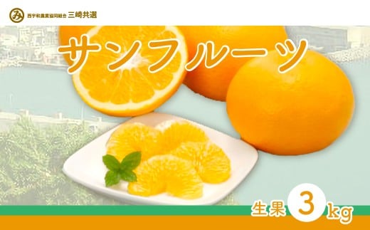 【先行予約】サンフルーツ（生果3kg）※離島への配送不可（2026年2月上旬～3月上旬頃に順次発送） 【 ふるさと納税 人気 おすすめ ランキング 柑橘 みかん ミカン サンフルーツ mikan 蜜柑 果物 生果 フルーツ 愛媛県産 愛媛県 伊方町 送料無料 】 IKTBD012 2138250 - 愛媛県伊方町