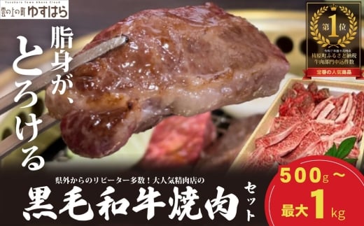 低温でも脂身がとろける梼原町産黒毛和牛 丸かじり焼肉セット（500g）【GA01】牛肉 焼肉 焼き肉 やきにく 国産 高知県産 冷凍便