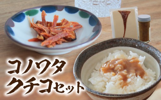 コノワタ・クチコセット・K335 2239695 - 愛知県西尾市