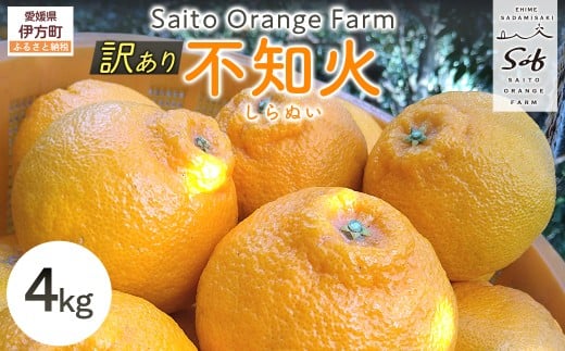 【先行予約】Saito Orange Farmの訳あり不知火4kg(2026年2月下旬頃より順次発送) 【 ふるさと納税 人気 おすすめ ランキング みかん ミカン 蜜柑 柑橘 不知火 しらぬい フルーツ 果物 産地直送 西宇和 Saito Orange Farm 訳あり 愛媛県産 愛媛県 伊方町 送料無料 】 IKTAQ011 2119818 - 愛媛県伊方町