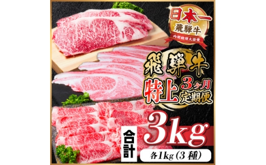 レビューキャンペーン実施中!＜毎月定期便＞飛騨牛 特上定期便 計3kg全3回　小分け【4057132】