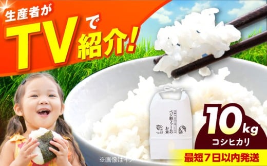 令和6年産 お米 10キロ コシヒカリ こしひかり 米 お米 白米 コメ おこめ 10kg 大阪府高槻市/ベジ彩ファーム [AOEJ013] 2202701 - 大阪府高槻市