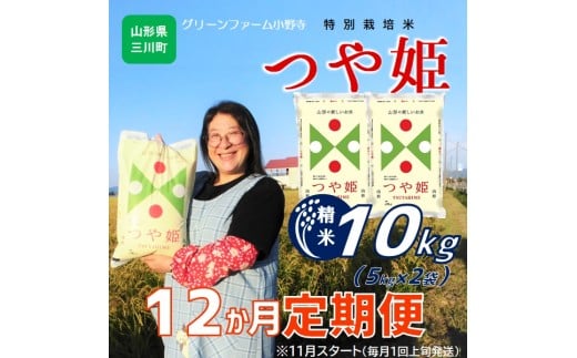 11月スタート【定期便12回】グリーンファーム小野寺のつや姫10kg×12回　※配送期間：令和7年11月～令和8年10月 1981498 - 山形県三川町