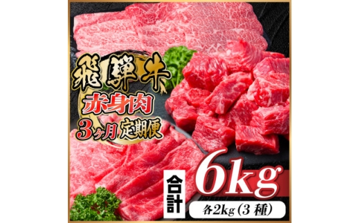 レビューキャンペーン実施中!＜毎月定期便＞飛騨牛 赤身肉定期便 計6kg全3回【4060299】