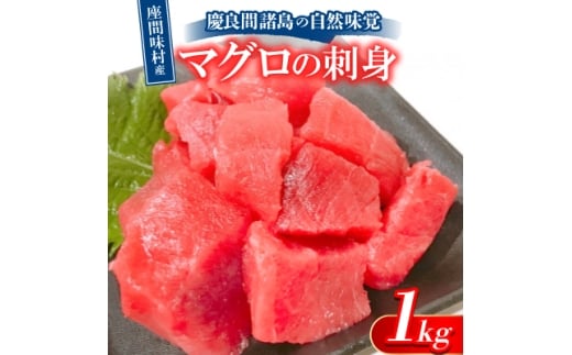 慶良間諸島の自然味覚 座間味村産のマグロの刺身 1kg(2～3柵)【1625436】 2253326 - 沖縄県座間味村