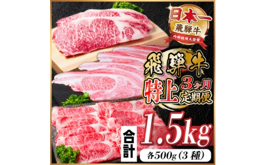 レビューキャンペーン実施中!＜毎月定期便＞飛騨牛 特上定期便 計1.5kg全3回　小分け【4057130】