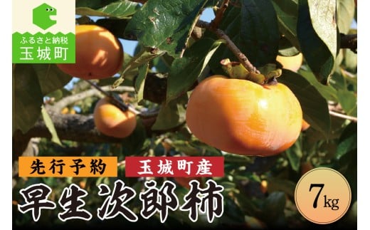 【先行予約】玉城町産 早生次郎柿 約7kg 2025年10月中旬～11月中旬発送 数量限定(クレジット申込限定)