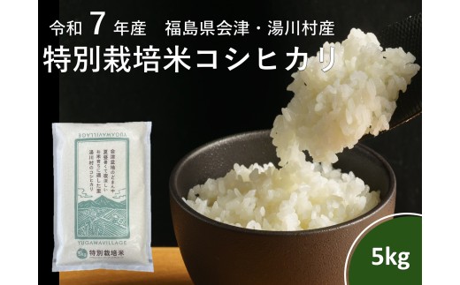 令和7年産湯川村産特別栽培米コシヒカリ　5㎏精米　R7.12月発送 2232645 - 福島県湯川村