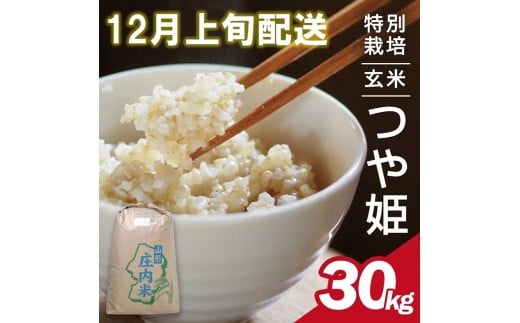 12月上旬配送／令和7年産【玄米】特別栽培米 つや姫　30kg×1袋〈太ももの会〉 FU SG0076