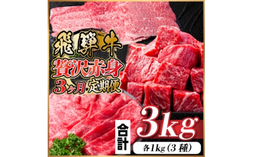 レビューキャンペーン実施中!＜毎月定期便＞飛騨牛 贅沢赤身肉定期便 計3kg全3回【4059530】 1543184 - 岐阜県羽島市