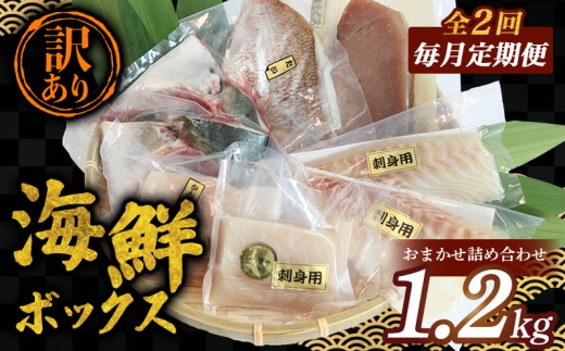毎月定期便 訳あり 海鮮 ボックス 1.2kg セット 毎月 全2回 冷凍 真空パック おまかせ マグロ まぐろ 鮪 生まぐろ 鯛 たい かんぱち 勘八 シマアジ ヒラマサ 平昌 新鮮 魚 魚介 海鮮 海産物 海 特産品 海の幸 産地直送 国産 三重県 南伊勢 伊勢 志摩 城水産