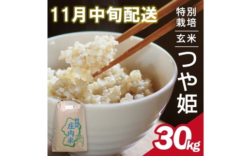 11月中旬配送／令和7年産【玄米】特別栽培米 つや姫　30kg×1袋〈太ももの会〉 FU SG0074