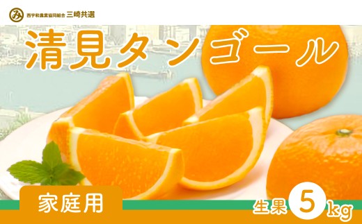 【先行予約】【家庭用】清見タンゴール 5kg ※離島への配送不可（2026年3月上旬～4月上旬頃に順次発送予定） 【 ふるさと納税 人気 おすすめ ランキング 柑橘 みかん ミカン 清見 清見タンゴール mikan 蜜柑 果物 生果 フルーツ 家庭用 愛媛県産 愛媛県 伊方町 送料無料 】 IKTBD017 2138238 - 愛媛県伊方町