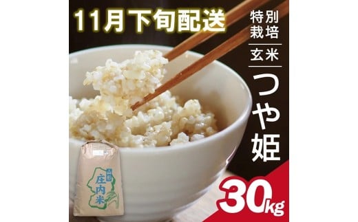 11月下旬配送／令和7年産【玄米】特別栽培米 つや姫　30kg×1袋〈太ももの会〉 FU SG0075