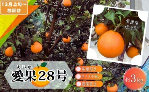 【先行予約 数量限定】訳あり 愛果28号 サイズ不揃い 約3kg 約15玉前後 12月上旬頃から順次＜家庭用 農園 直送 みかん 柑橘 旬にお届け 先行 受付 砥部町 愛媛 3キロ 箱＞[№5310-0253] 1553957 - 愛媛県砥部町