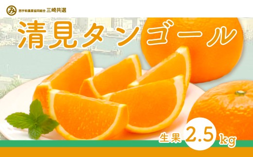 【先行予約】清見タンゴール（生果2.5kg）※離島への配送不可（2026年3月上旬～4月上旬頃に順次発送予定） 【 ふるさと納税 人気 おすすめ ランキング 柑橘 みかん ミカン 清見 清見タンゴール mikan 蜜柑 果物 生果 フルーツ 愛媛県産 愛媛県 伊方町 送料無料 】 IKTBD014 2138234 - 愛媛県伊方町