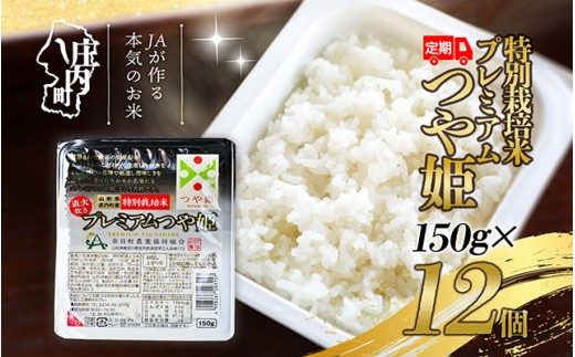 ＜10月中旬発送＞6か月定期便！プレミアムつや姫 パックごはん 12個（入金期限：2025.9.25）