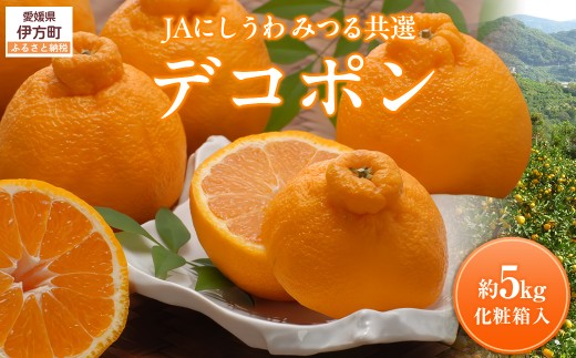【先行予約】【数量限定】JAにしうわ みつる共選 デコポン 約5kg（化粧箱）※離島への配送不可（2026年2月中旬より順次発送予定） 【 ふるさと納税 人気 おすすめ ランキング みかん ミカン デコポン 不知火 しらぬい 果物 果実 柑橘 フルーツ 旬 生果 デザート くだもの 国産 甘い 西宇和 贈答 贈り物 プレゼント ギフト 愛媛県産 愛媛県 伊方町 送料無料 】 IKTBC008