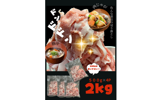 A1-0423／【訳あり】鹿児島県垂水市産 豚肉 切り落とし 2kg（500g×4P）