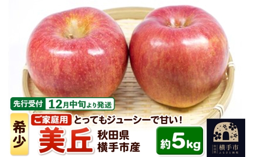 【先行受付】12月中旬より発送 希少品種！追熟でおいしさ倍増！横手市産りんご(美丘) ご家庭用 約5kg