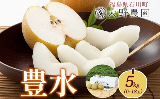 梨5kg 豊水 6～18玉
