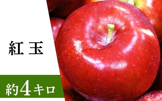 2025年9月下旬~11月下旬頃の発送予定です。