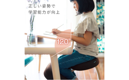 バランスイージー 2026年分予約販売】ラクに姿勢がよくなる椅子｜バランス