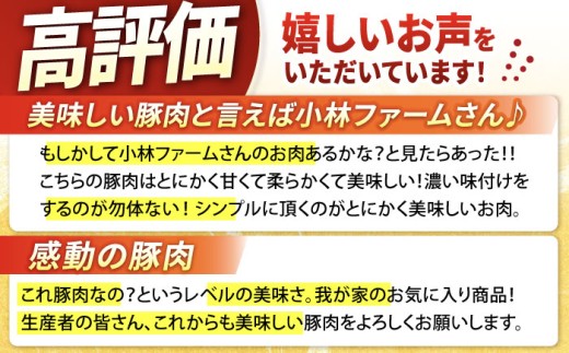 三元豚 国産豚肉 肉 ぶた肉 ブタ肉 ロースかつ とんかつ モモ 豚バラ スライス ミンチ 挽肉 ひき肉 4㎏ 大容量 冷蔵