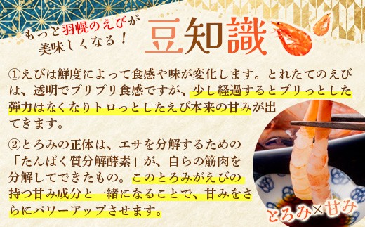 北海道羽幌産 冷凍むき甘えび 1kg（500g×2パック）